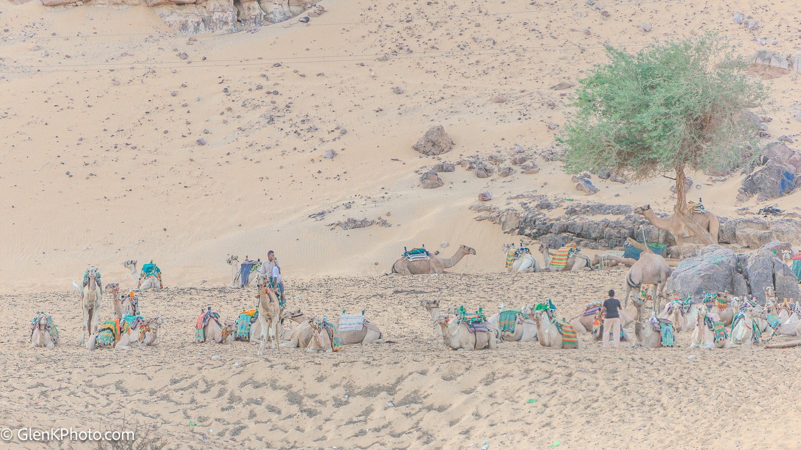 A photo from glenkphoto.com gallery