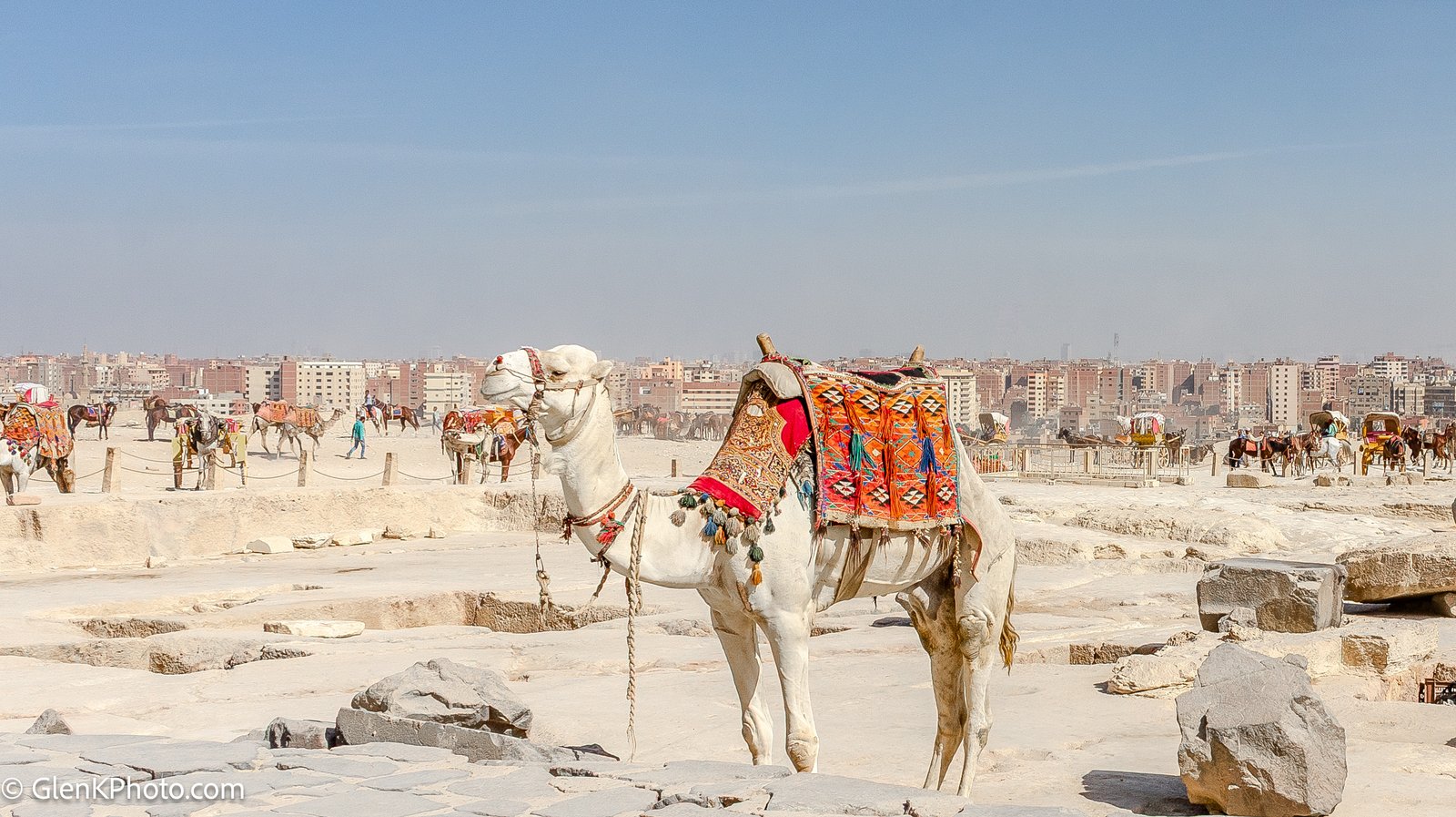 A photo from glenkphoto.com gallery