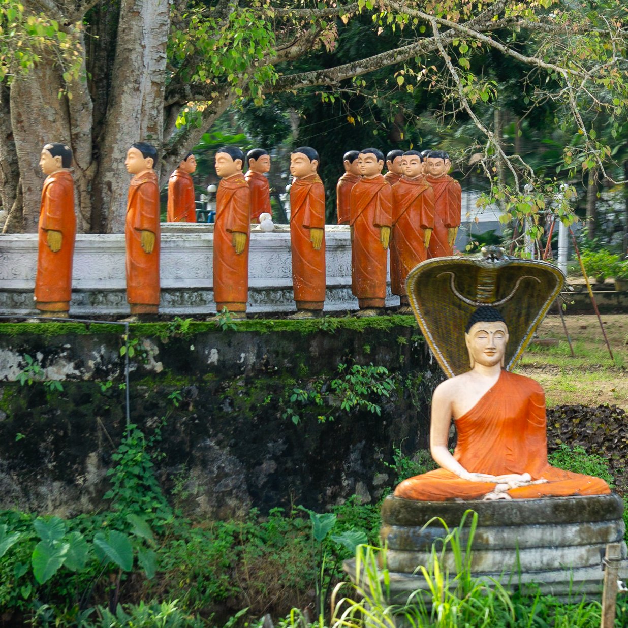 A photo from glenkphoto.com gallery