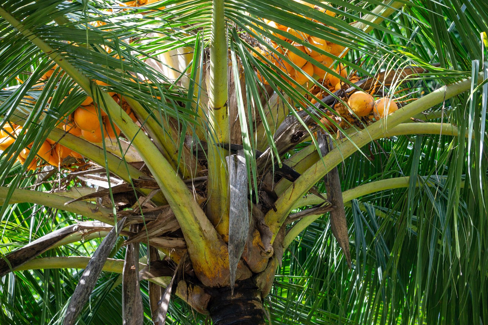 A photo from glenkphoto.com gallery