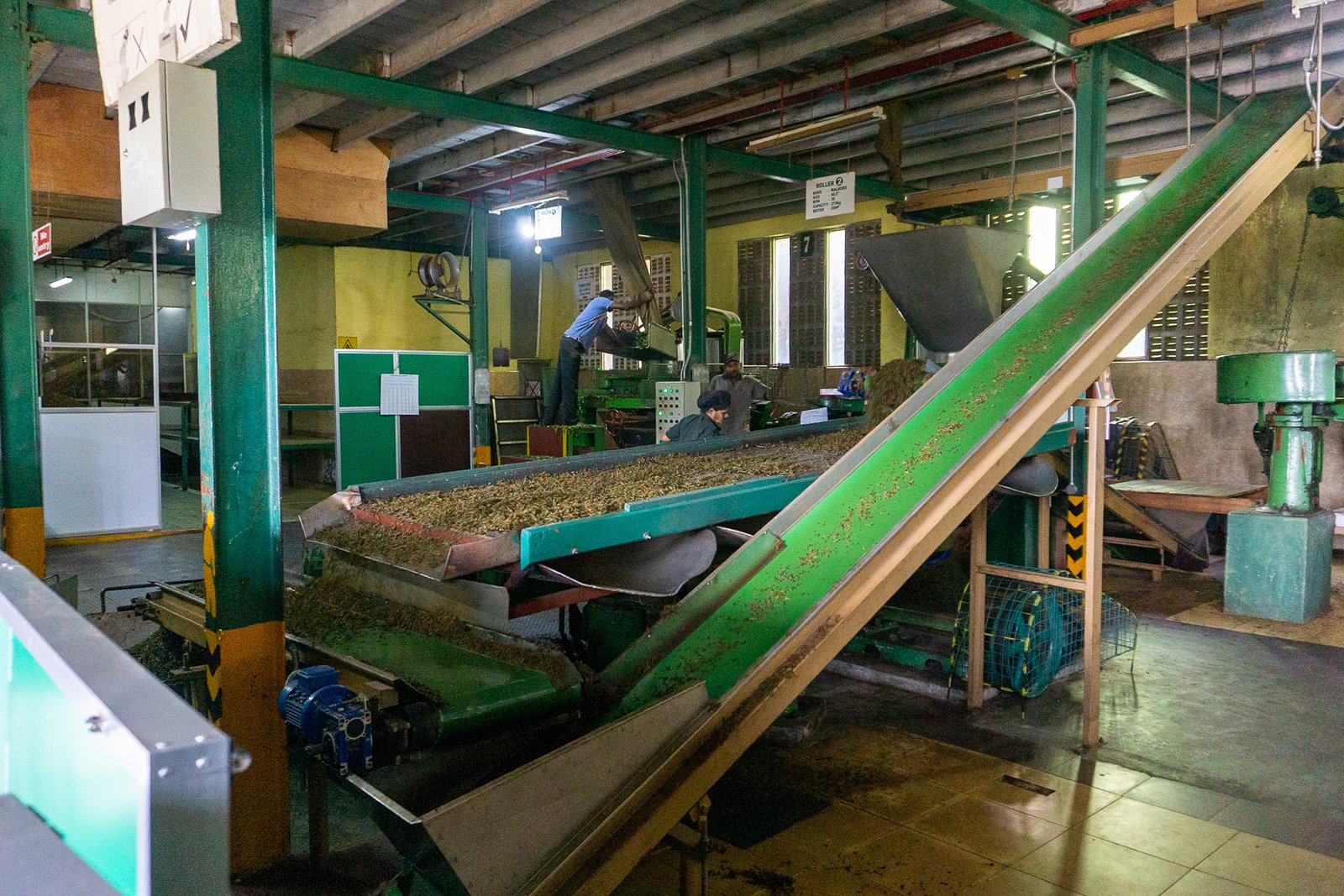 A photo from glenkphoto.com gallery