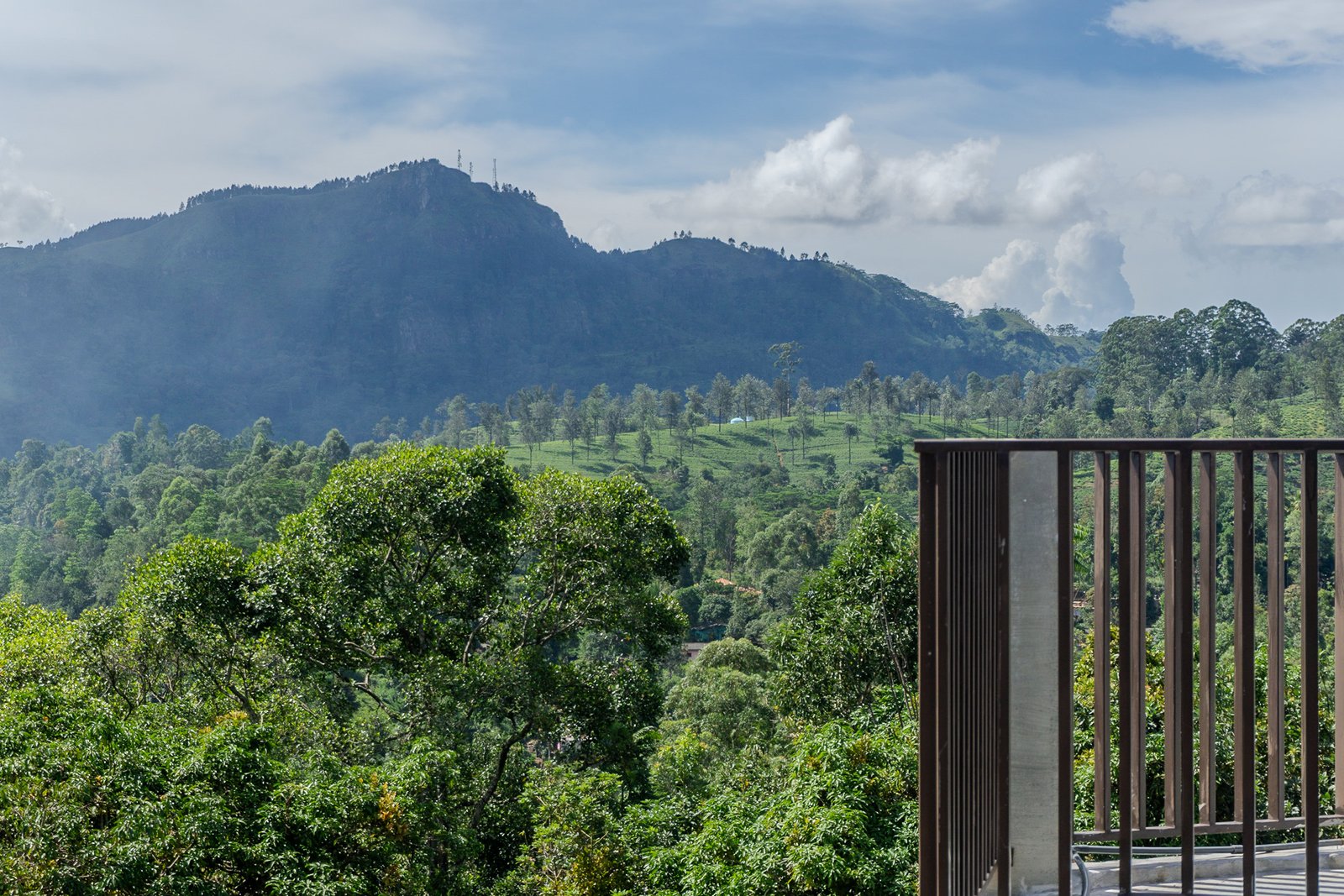 A photo from glenkphoto.com gallery