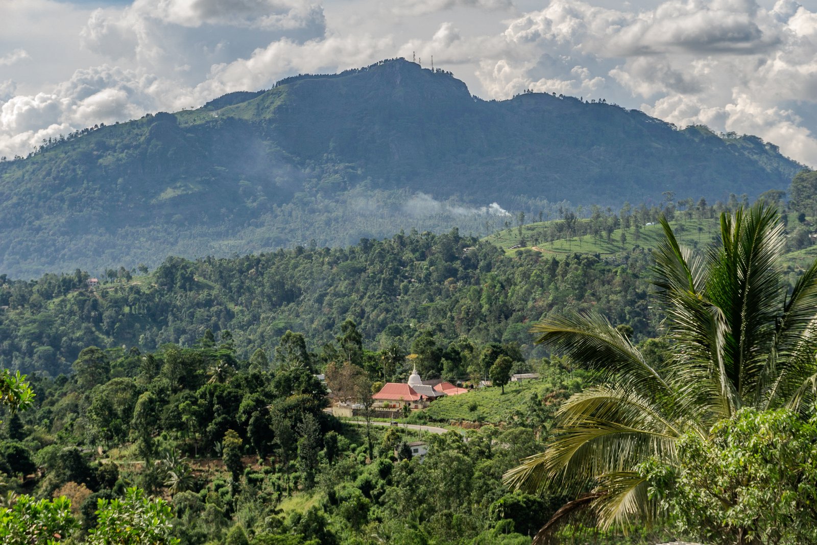 A photo from glenkphoto.com gallery