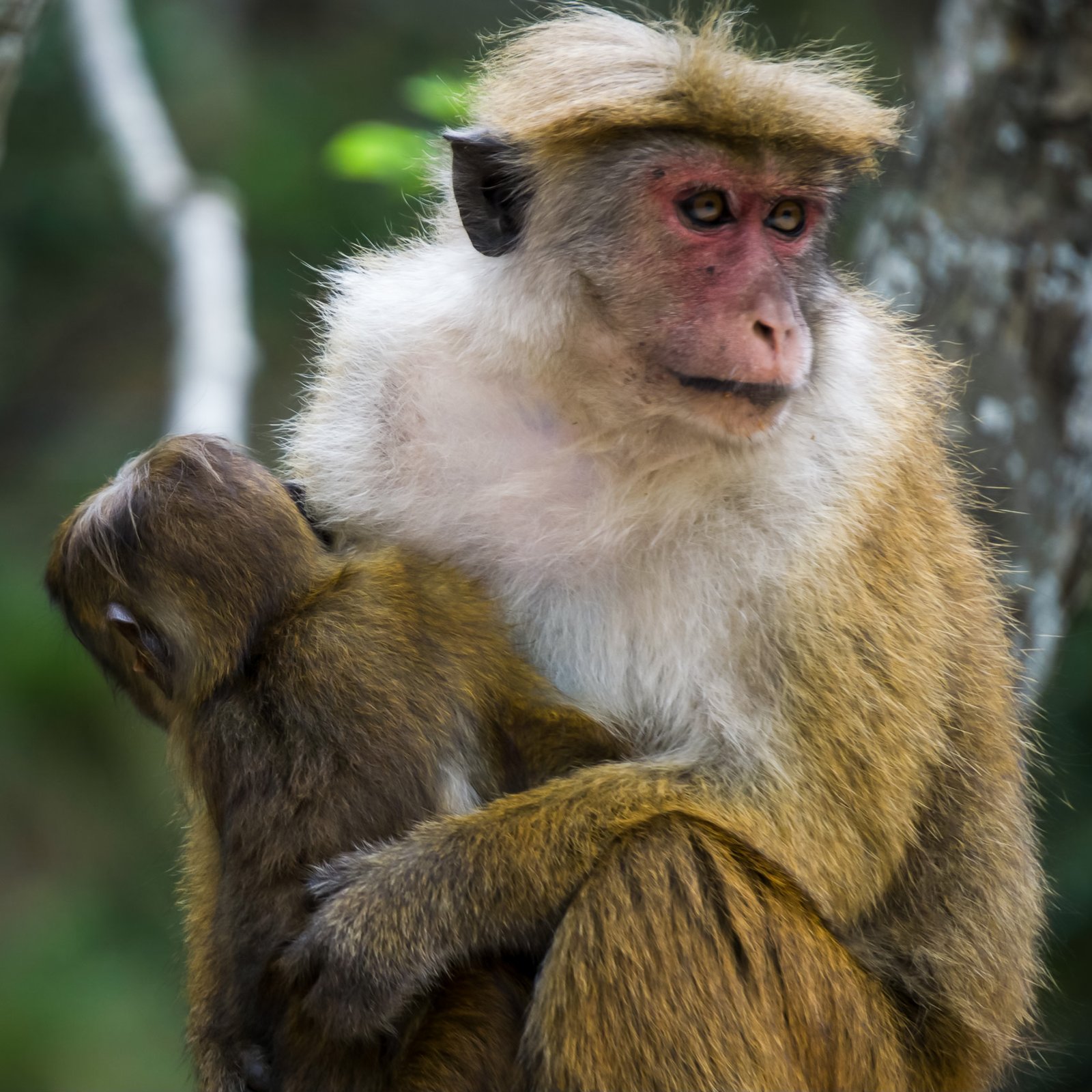 A photo from glenkphoto.com gallery