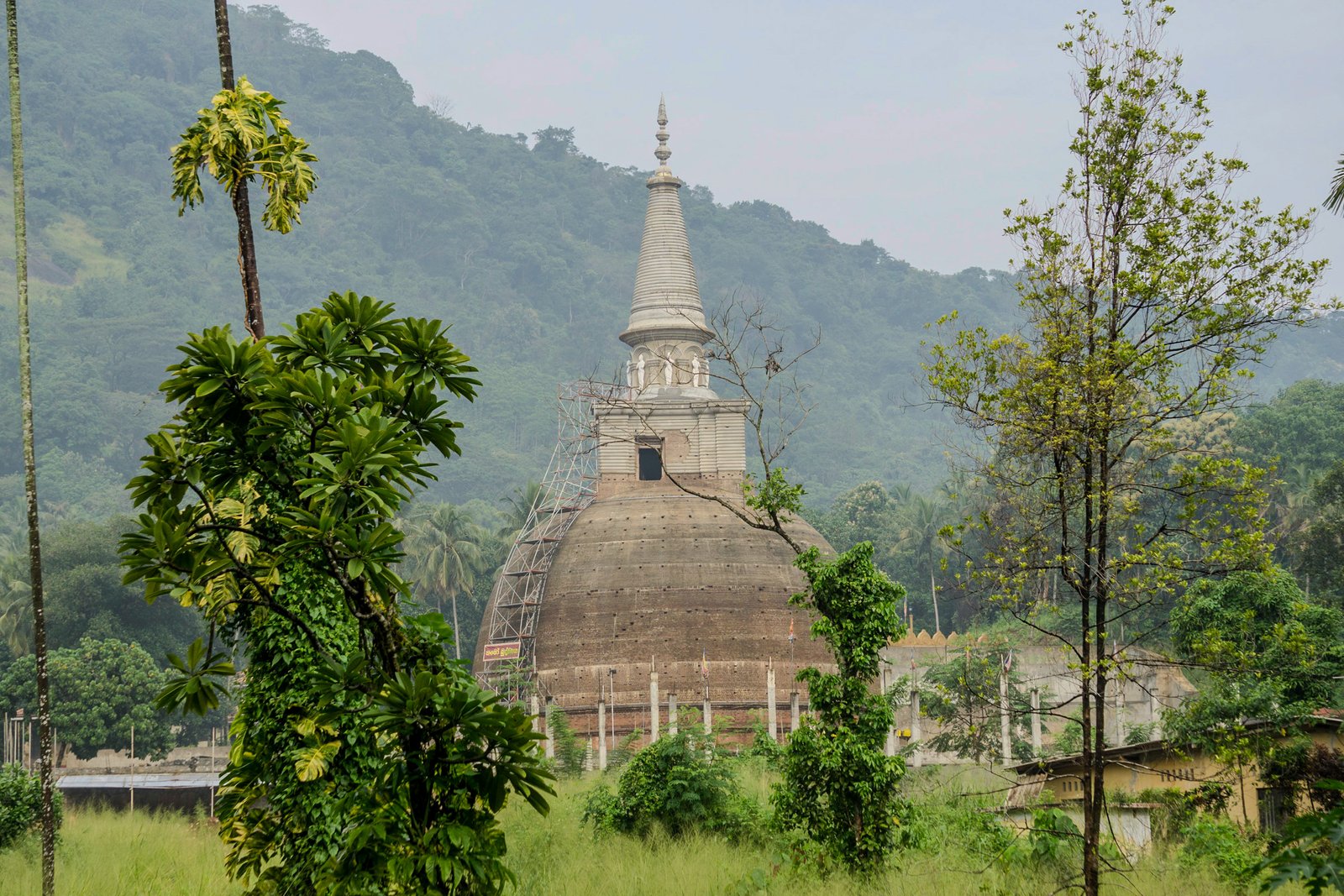 A photo from glenkphoto.com gallery