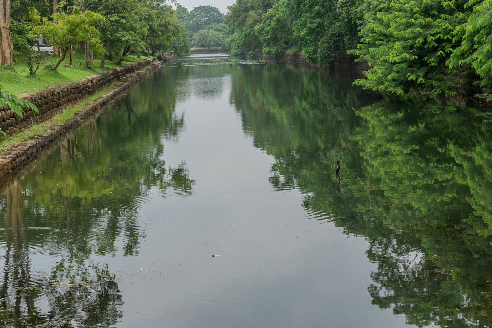 A photo from glenkphoto.com gallery