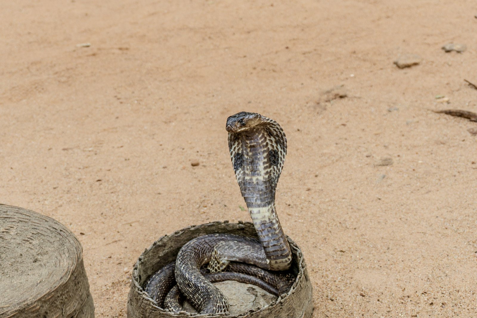 A photo from glenkphoto.com gallery