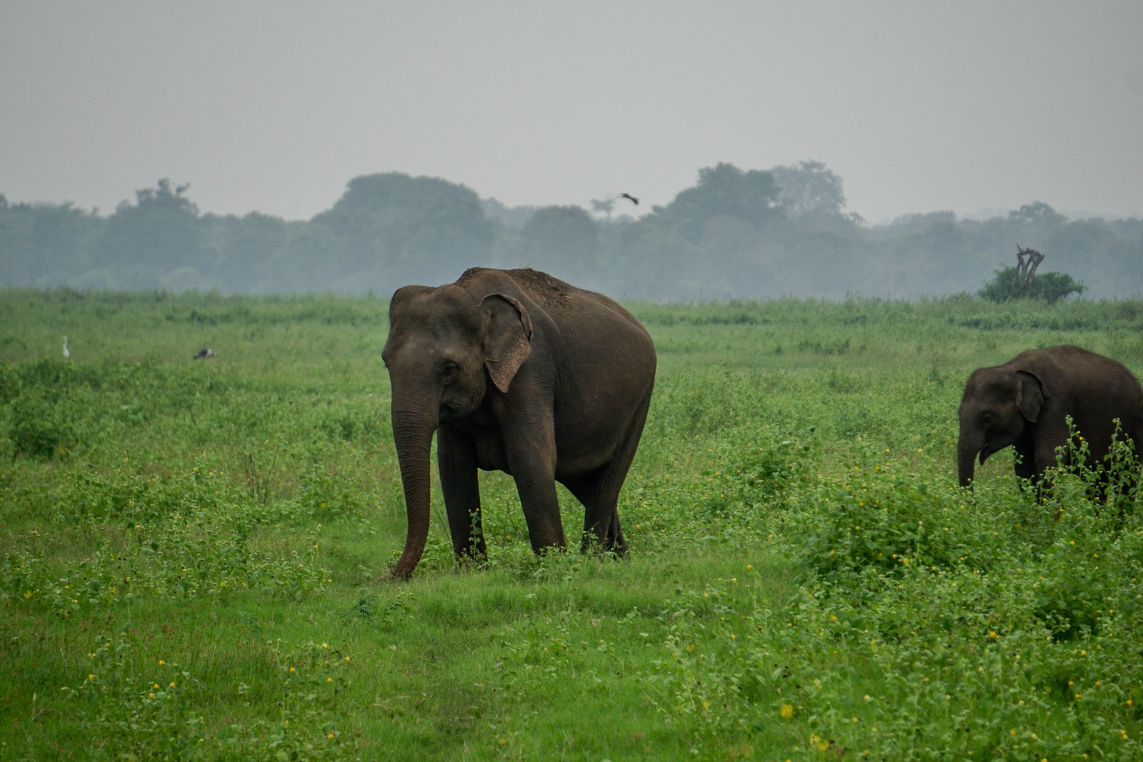 A photo from glenkphoto.com gallery