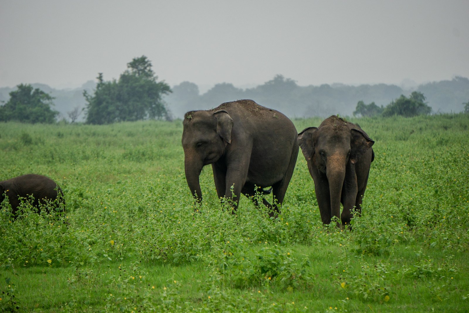 A photo from glenkphoto.com gallery