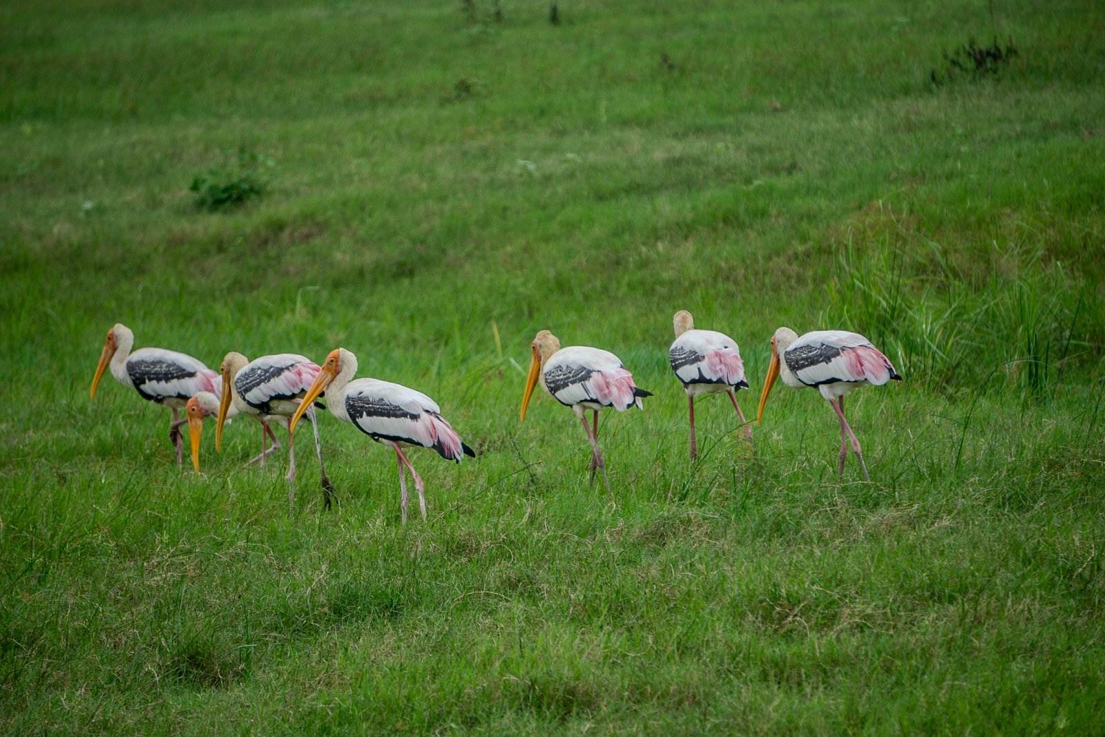 A photo from glenkphoto.com gallery