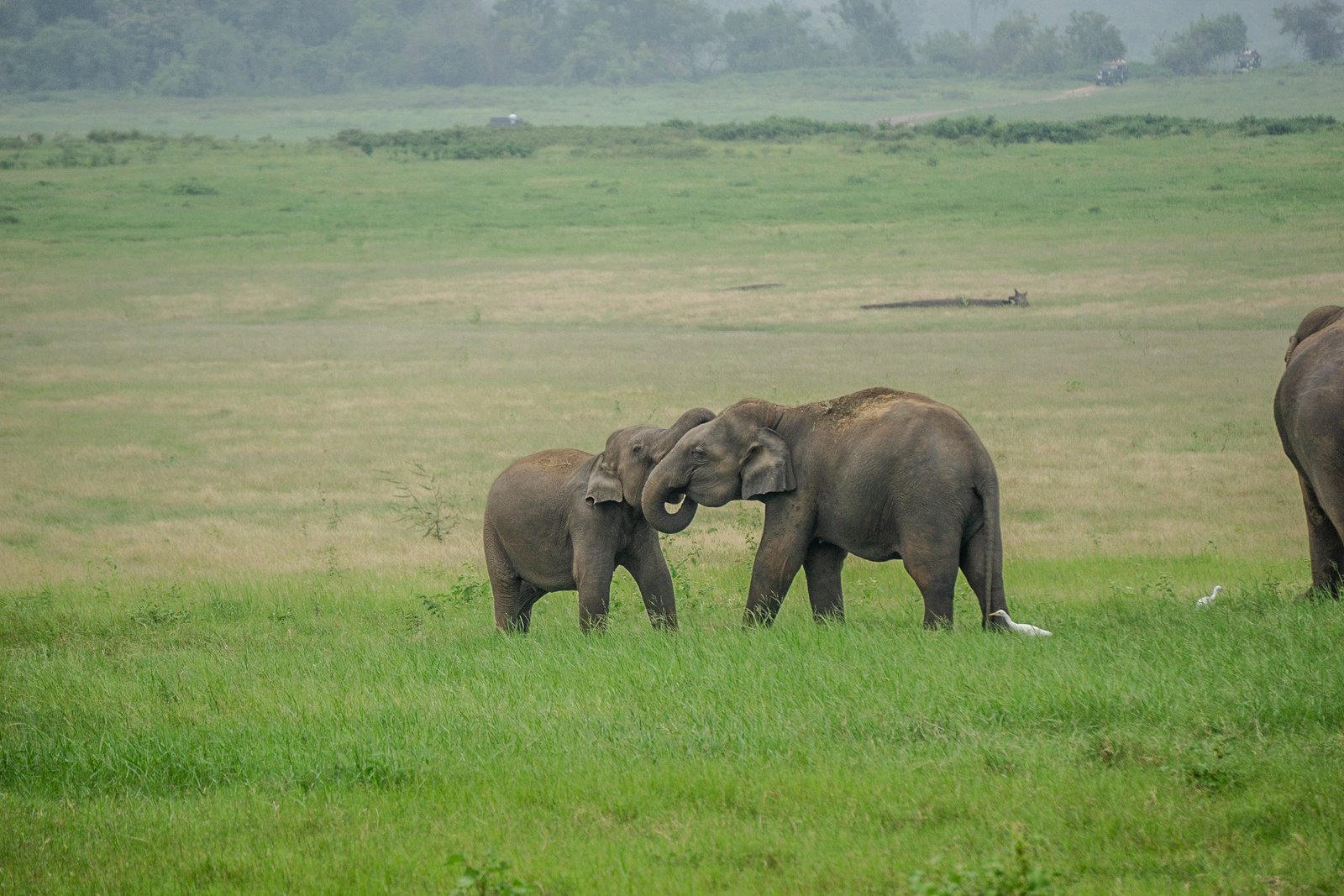 A photo from glenkphoto.com gallery