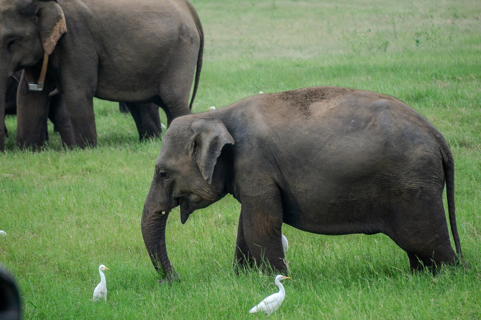 A photo from glenkphoto.com gallery