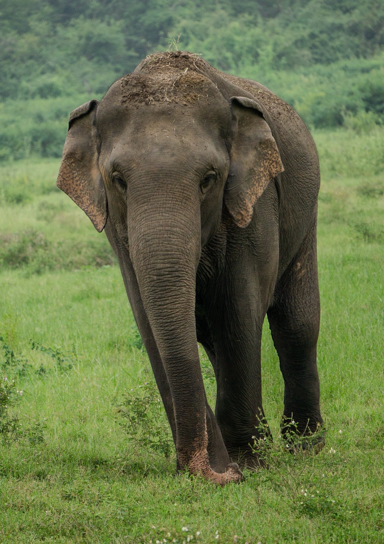 A photo from glenkphoto.com gallery