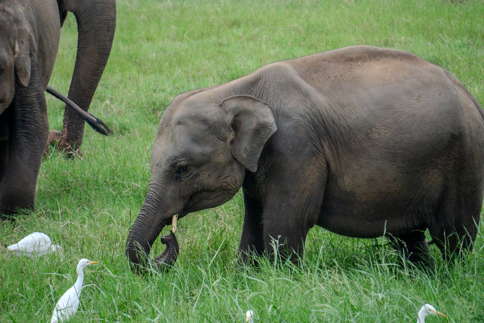 A photo from glenkphoto.com gallery