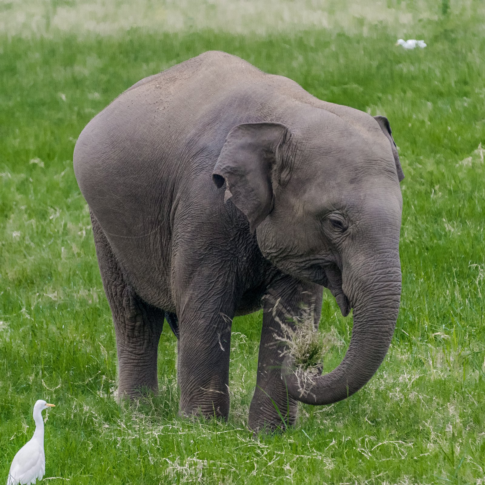 A photo from glenkphoto.com gallery