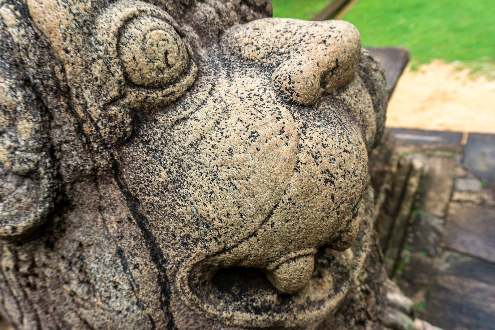 A photo from glenkphoto.com gallery