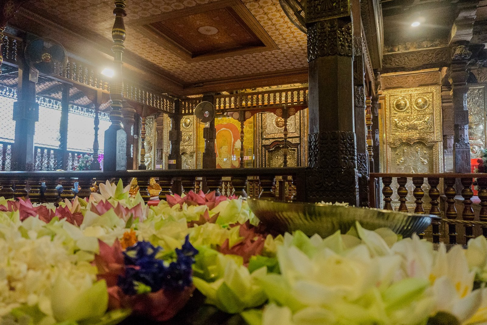 A photo from glenkphoto.com gallery