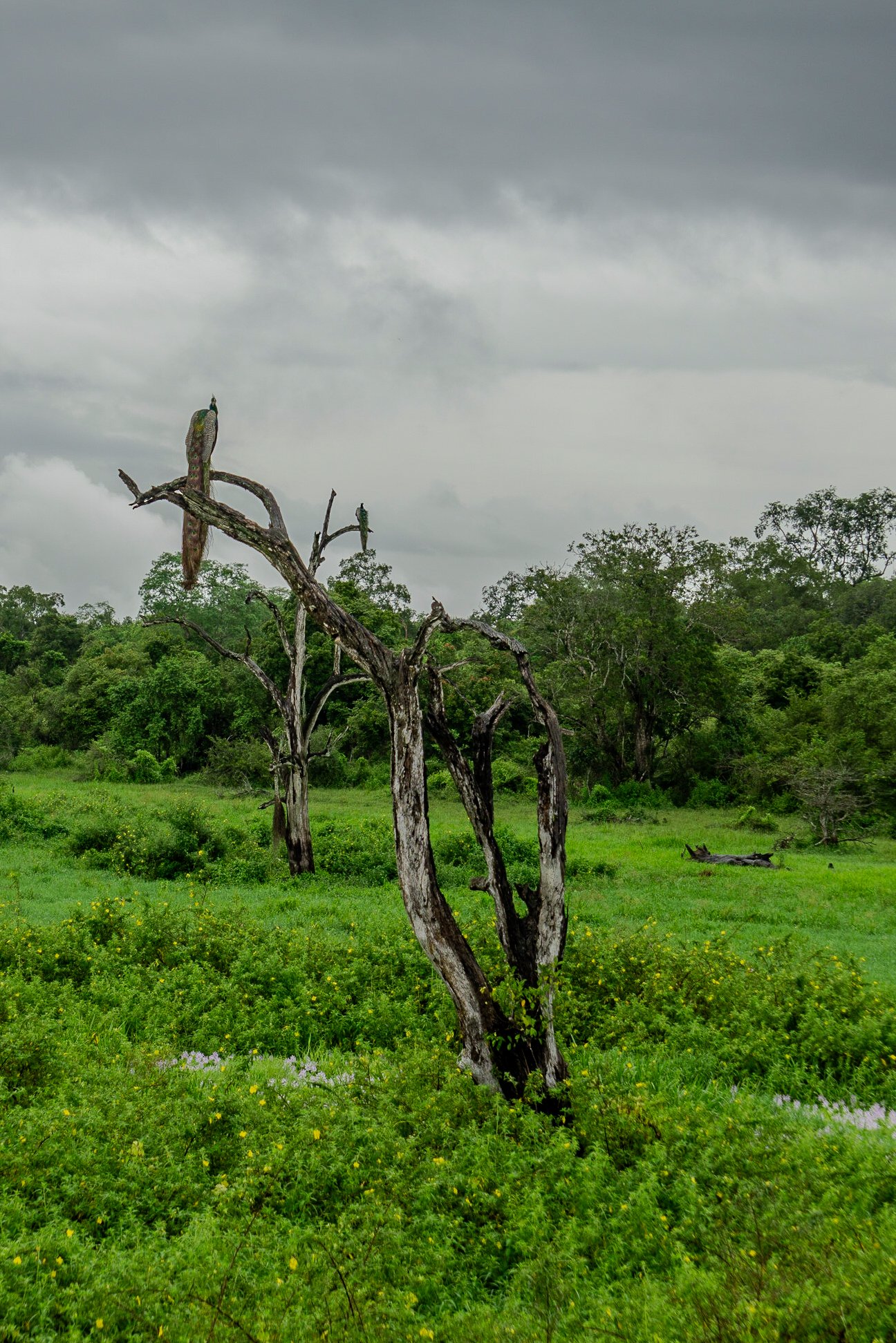 A photo from glenkphoto.com gallery