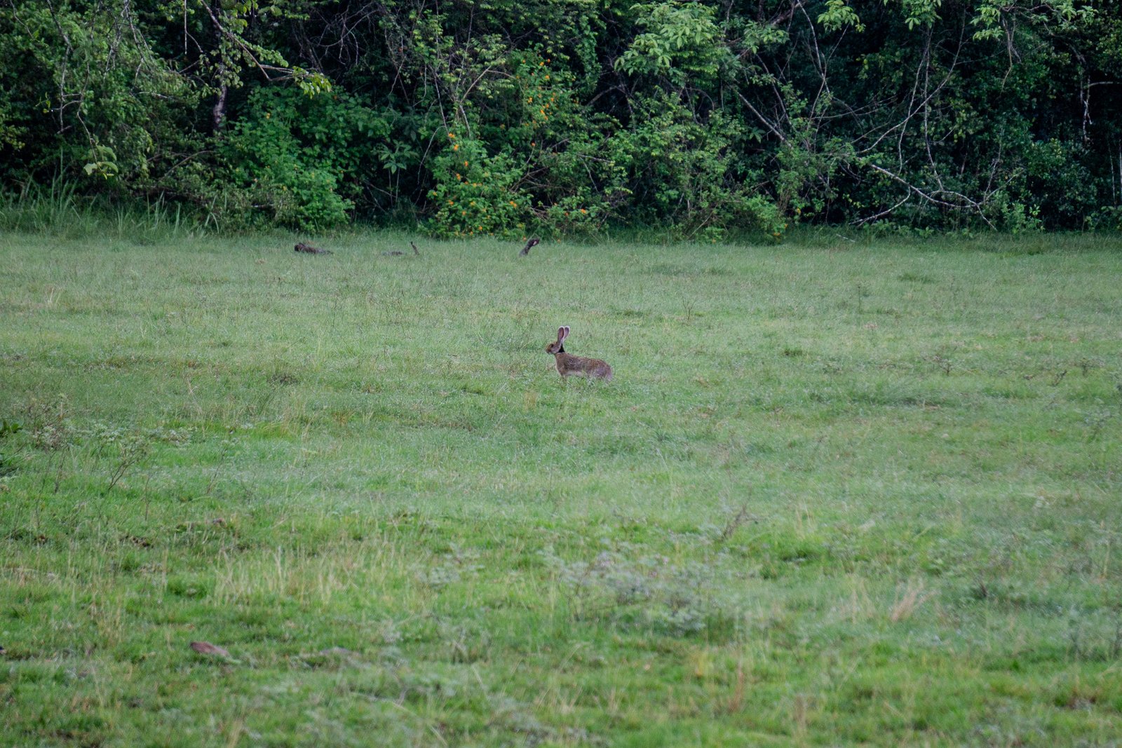 A photo from glenkphoto.com gallery