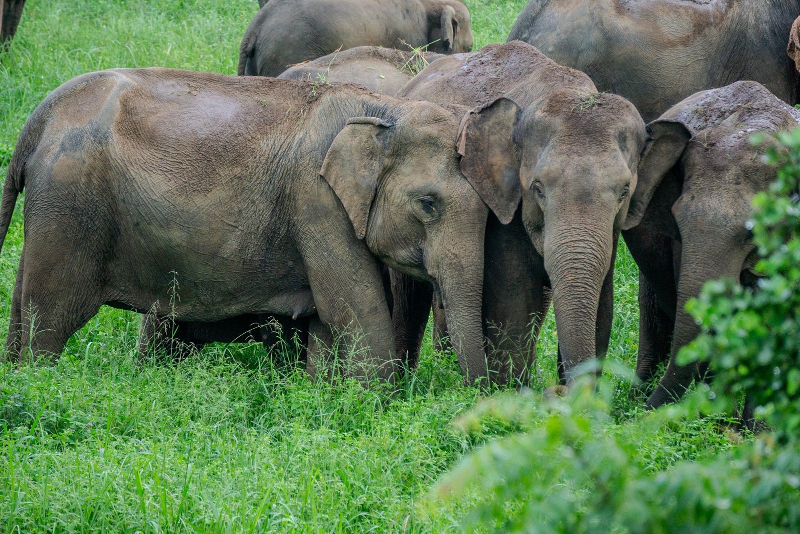 A photo from glenkphoto.com gallery