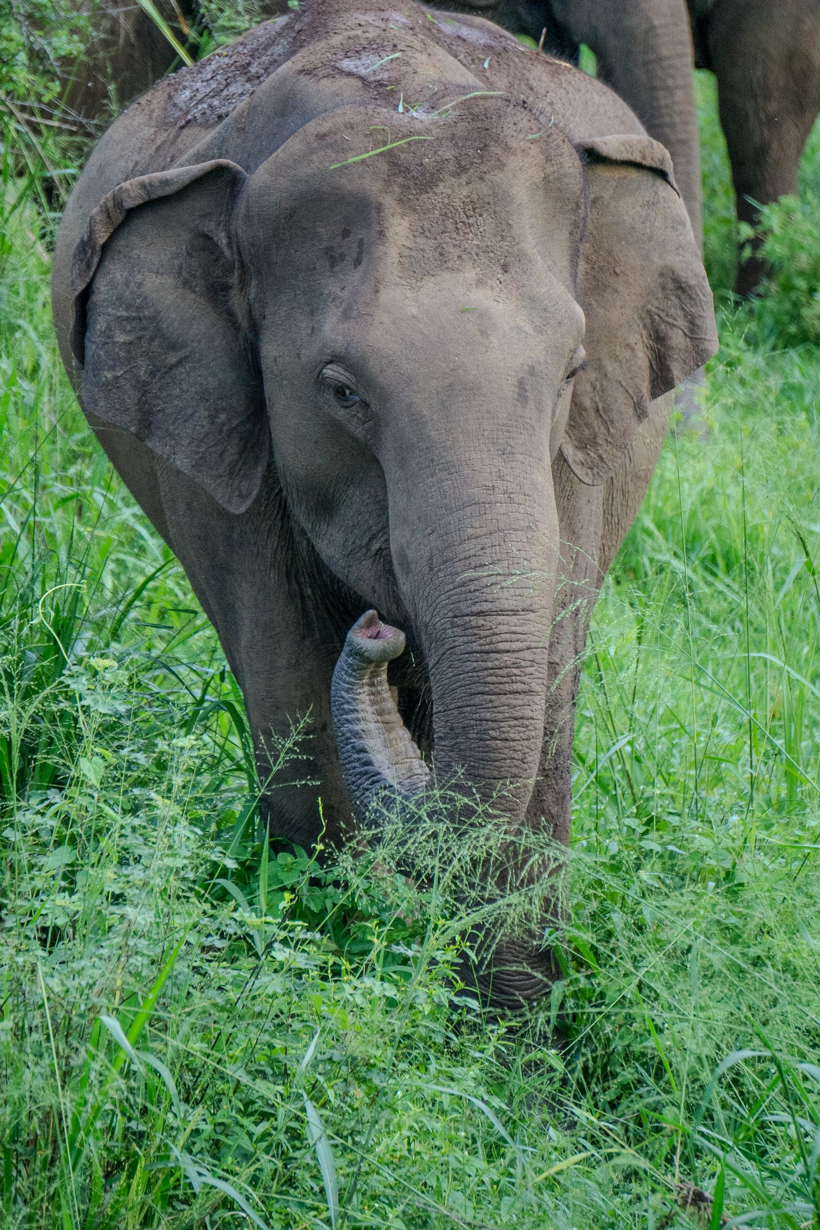 A photo from glenkphoto.com gallery