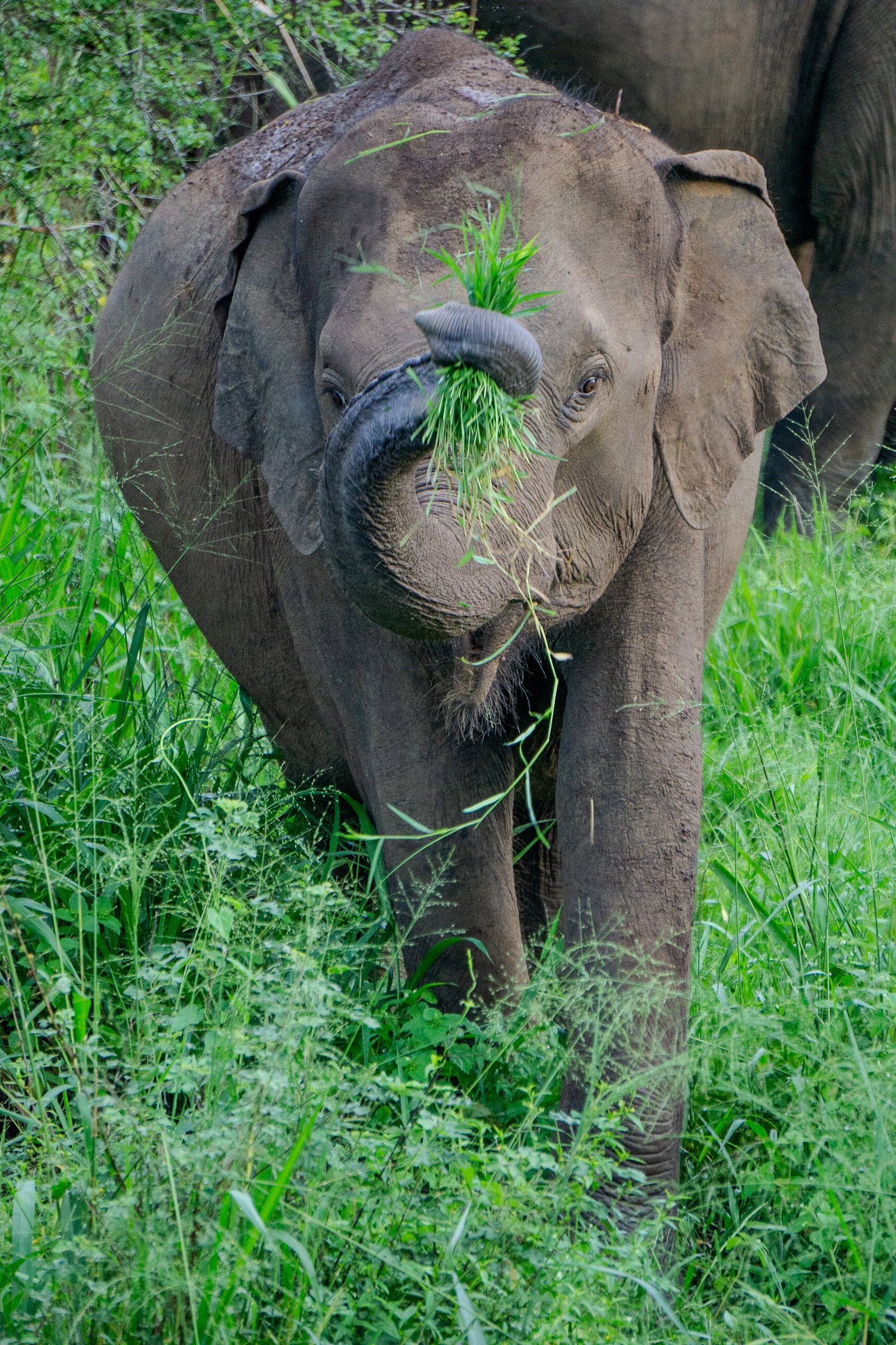 A photo from glenkphoto.com gallery