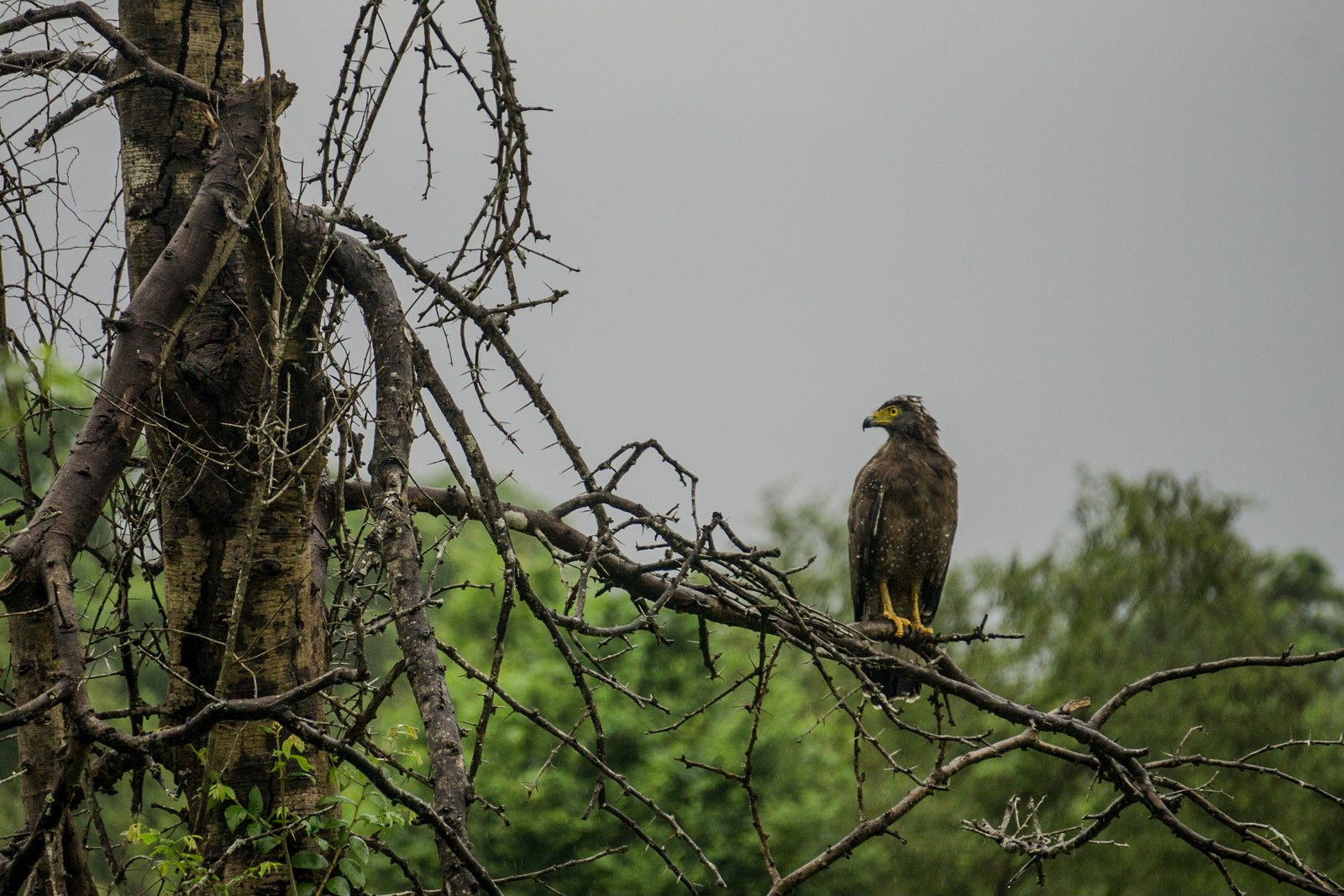 A photo from glenkphoto.com gallery