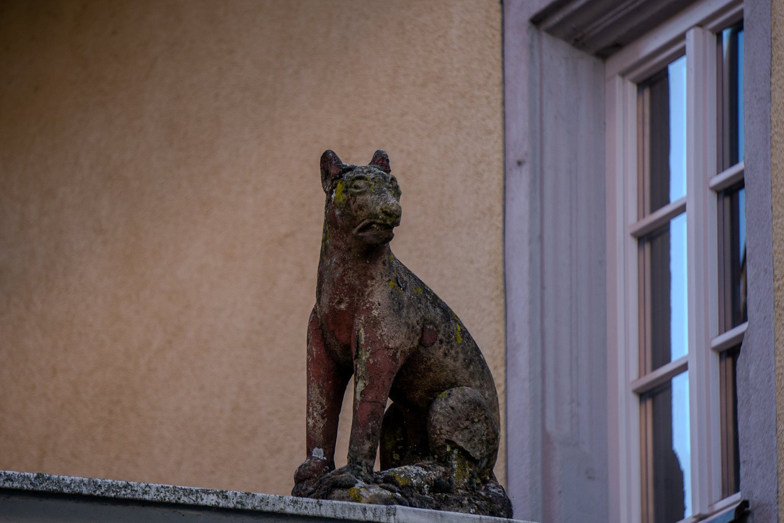 A photo from glenkphoto.com gallery