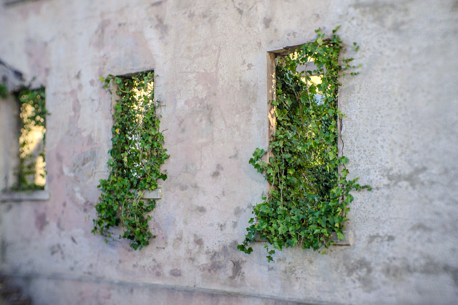 A photo from glenkphoto.com gallery