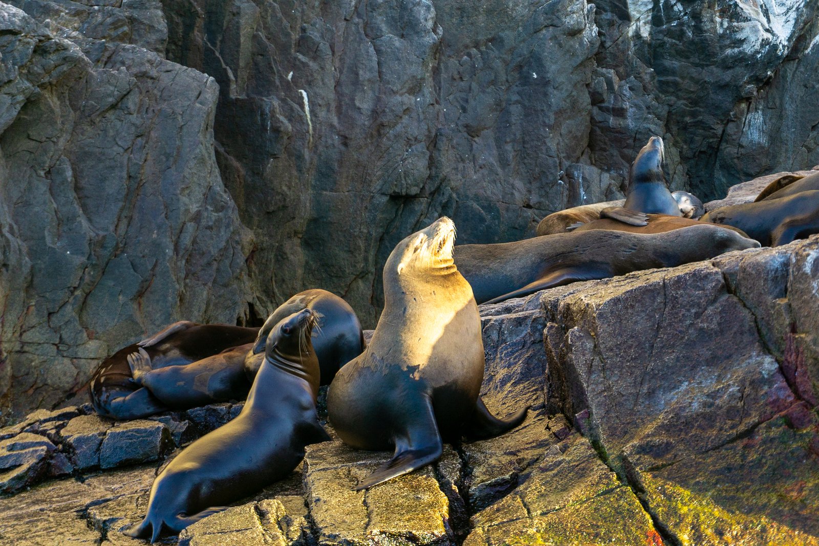 A photo from glenkphoto.com gallery