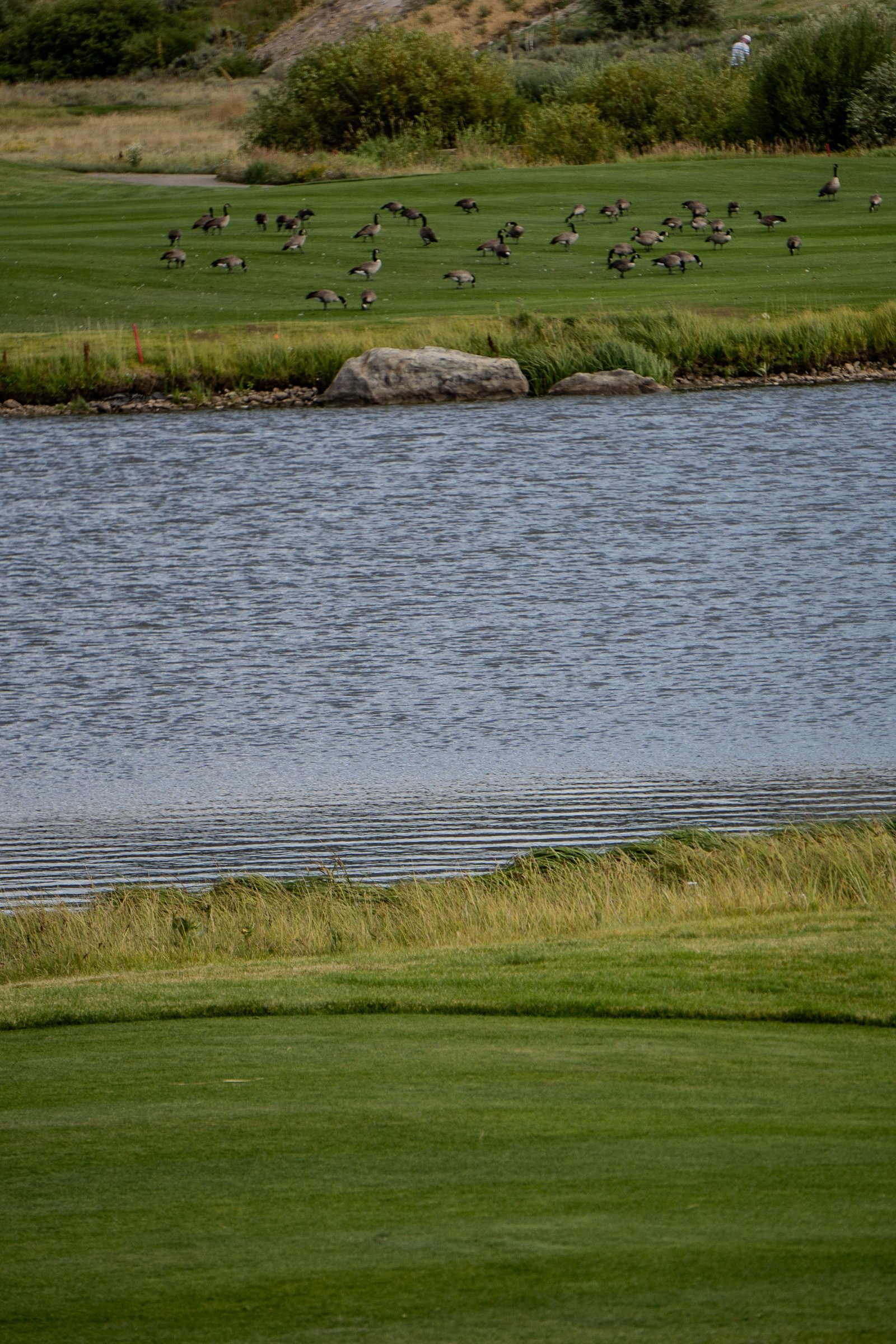 A photo from glenkphoto.com gallery