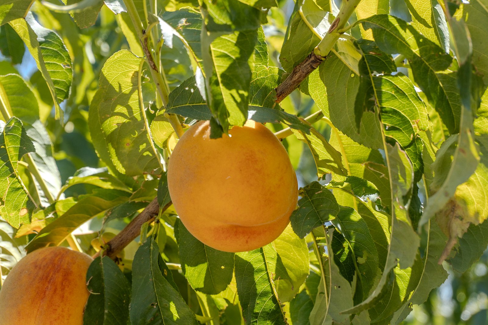 A photo from glenkphoto.com gallery