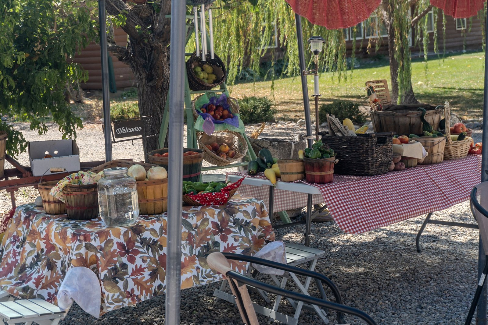 A photo from glenkphoto.com gallery