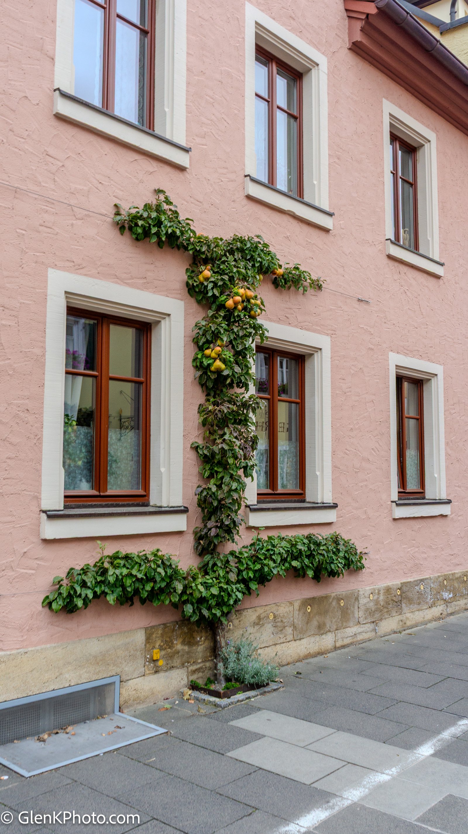 A photo from glenkphoto.com gallery