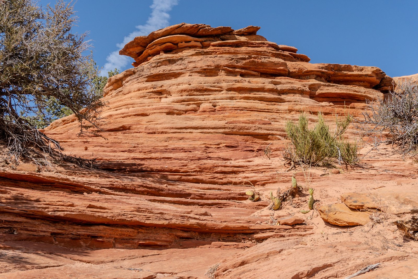 A photo from glenkphoto.com gallery