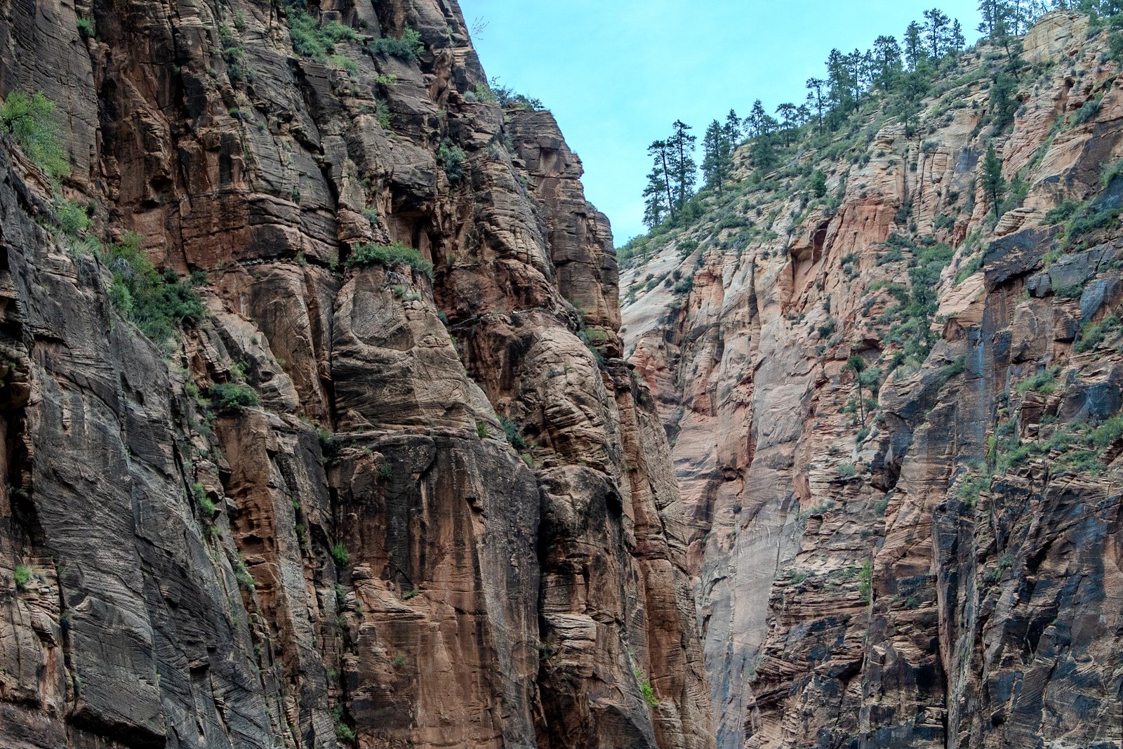 A photo from glenkphoto.com gallery