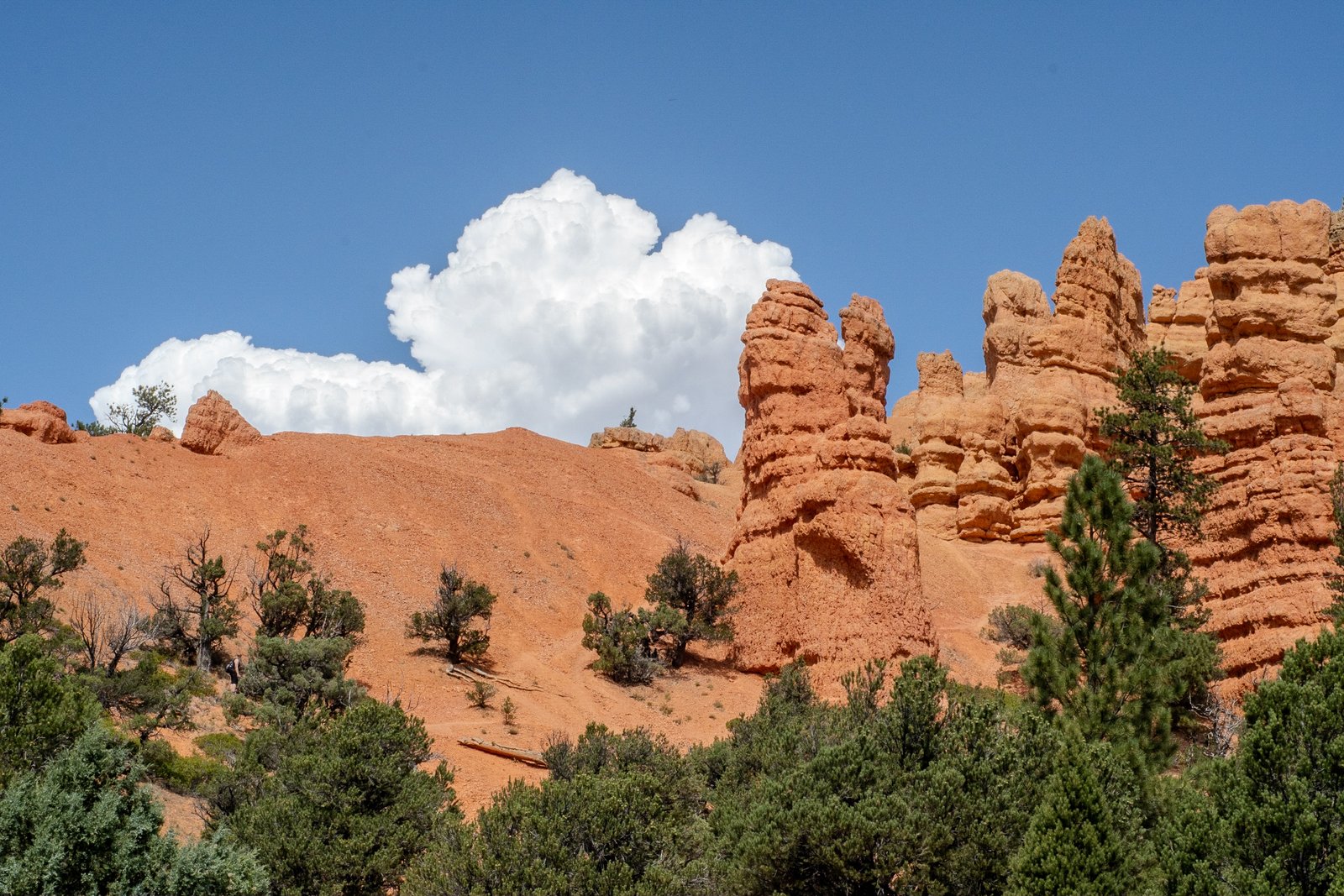 A photo from glenkphoto.com gallery