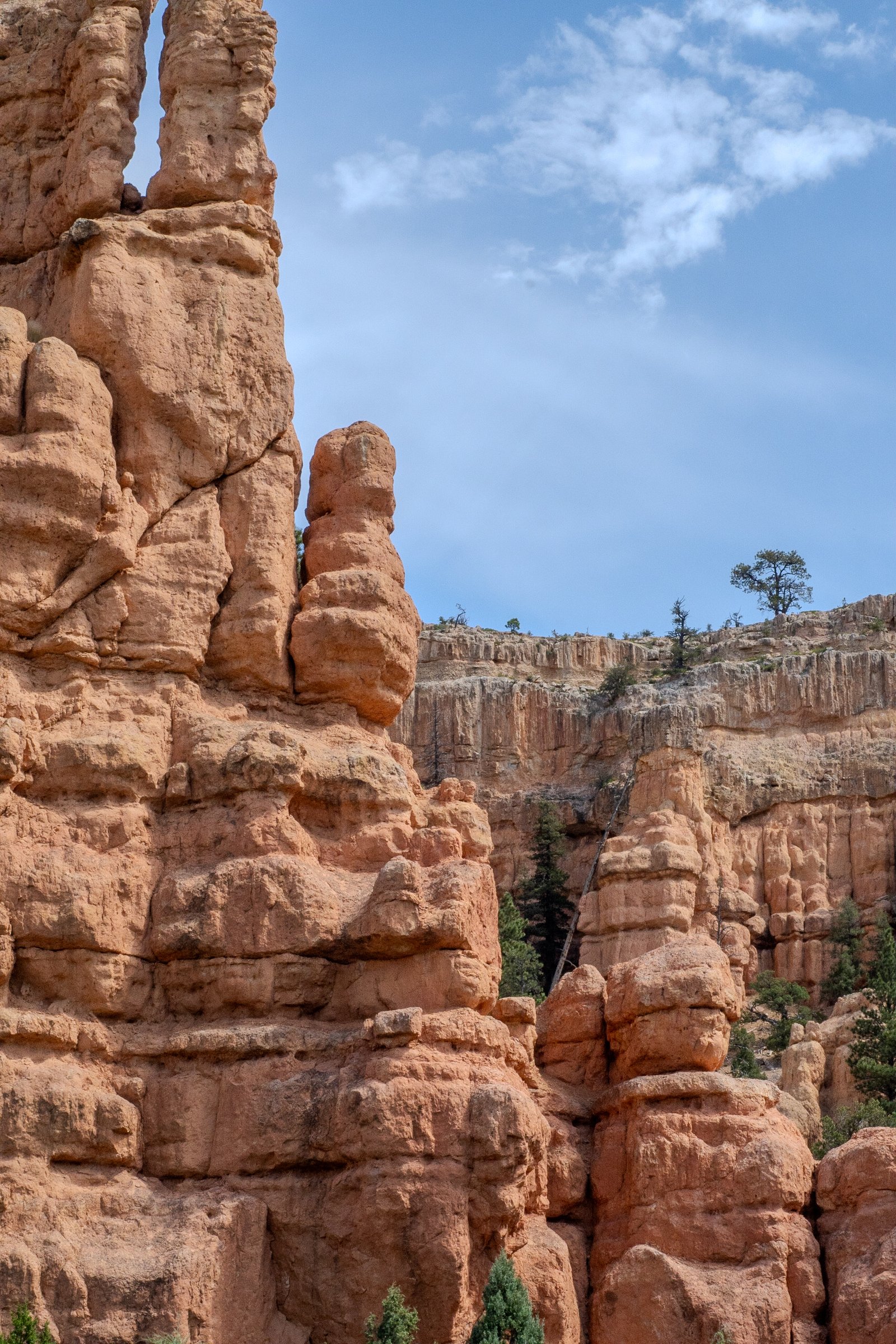 A photo from glenkphoto.com gallery