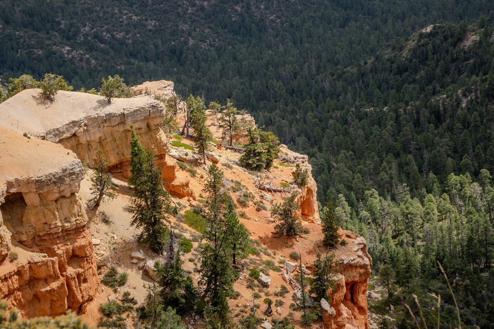 A photo from glenkphoto.com gallery