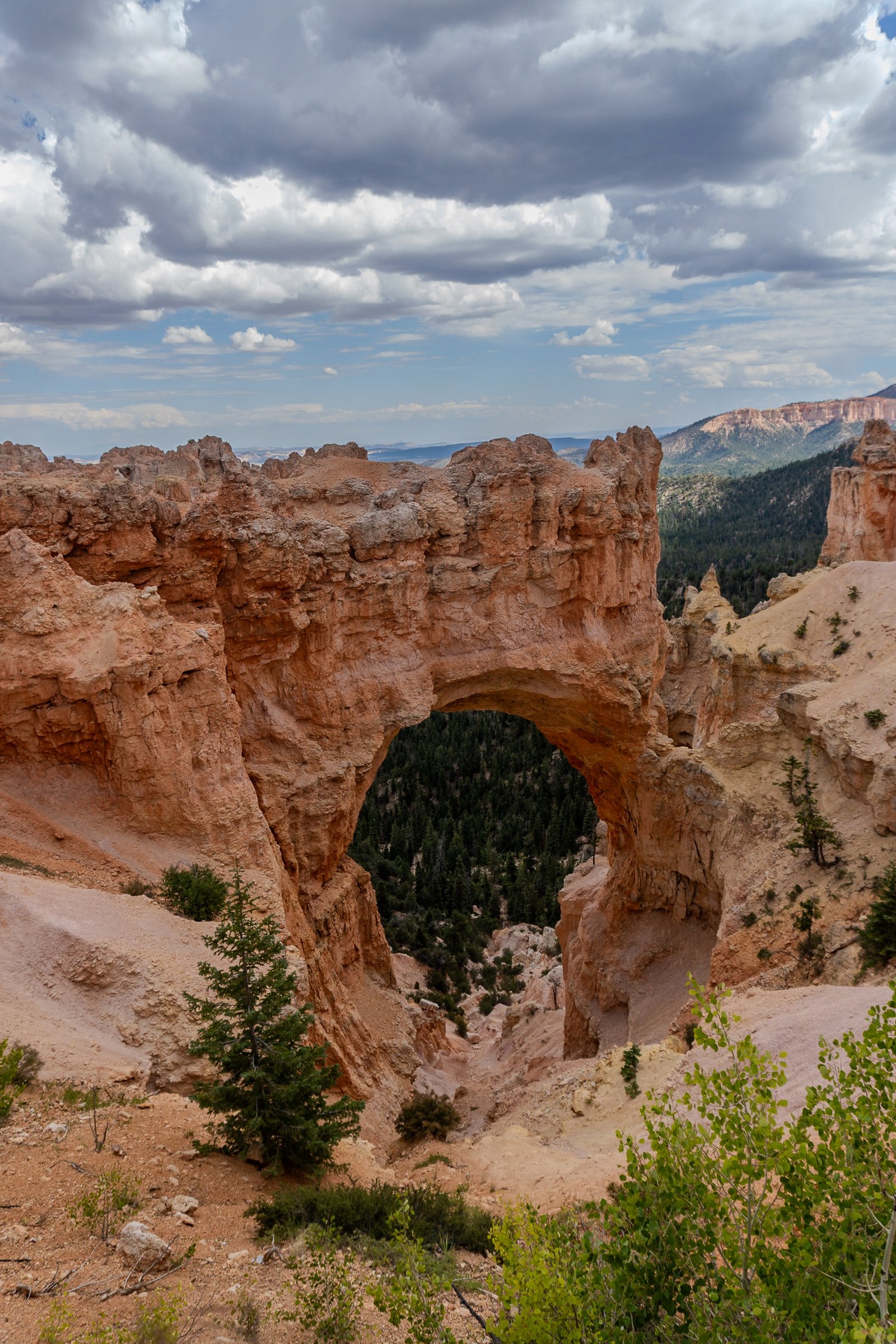 A photo from glenkphoto.com gallery