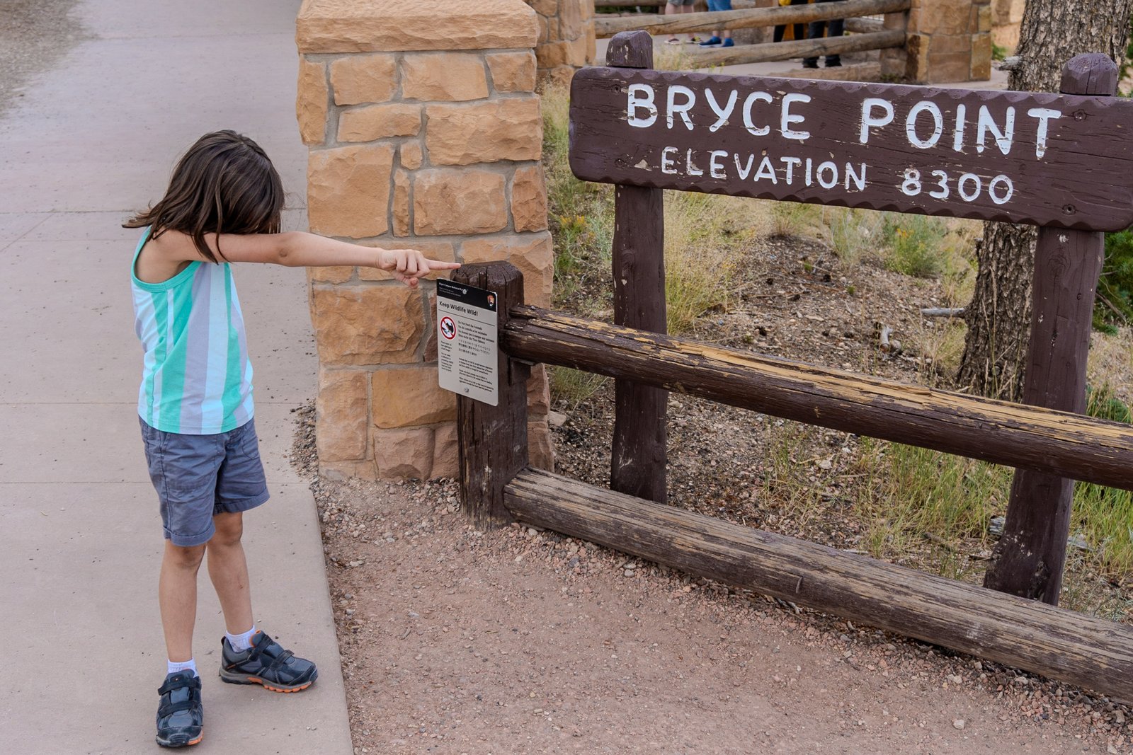 A photo from glenkphoto.com gallery