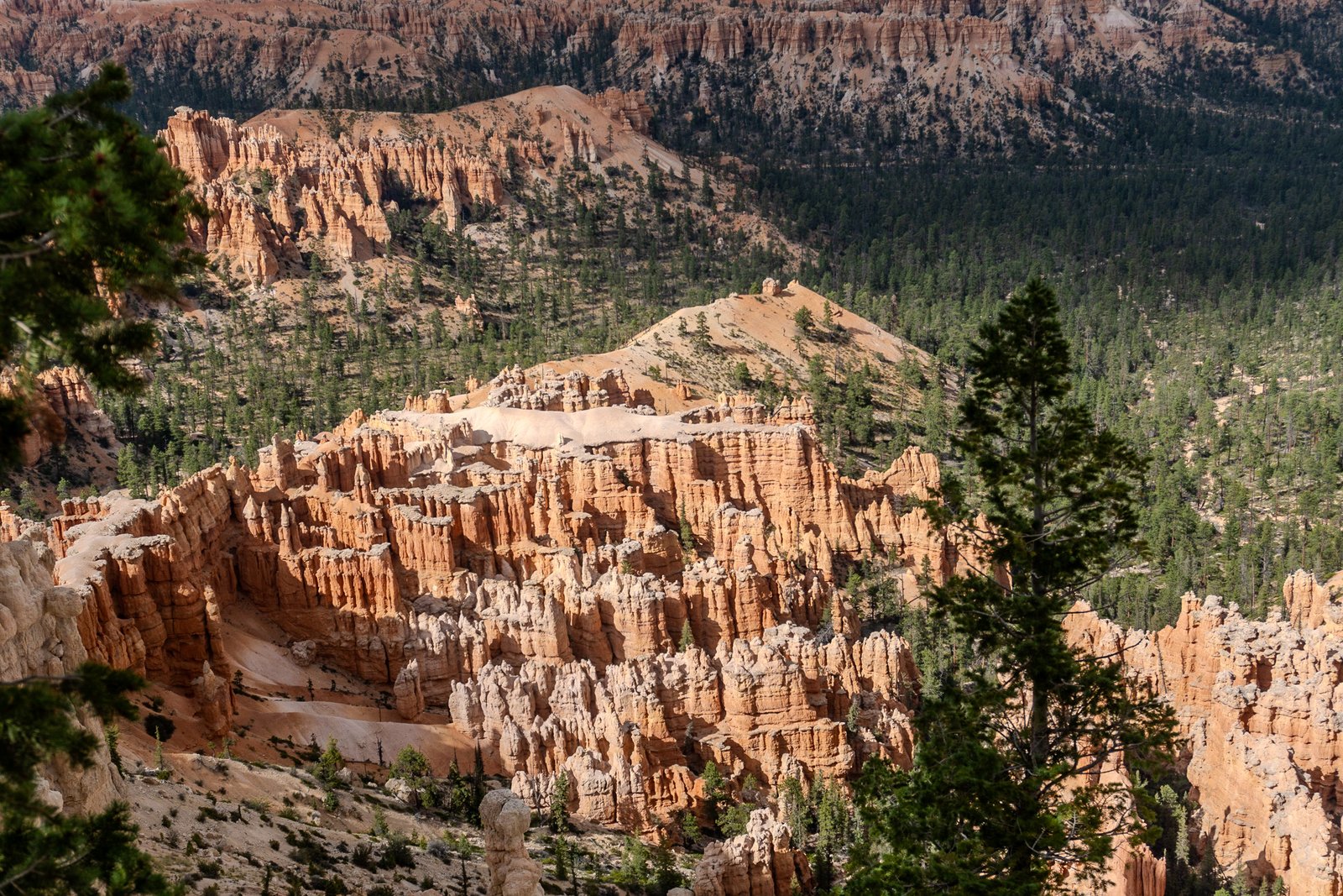 A photo from glenkphoto.com gallery