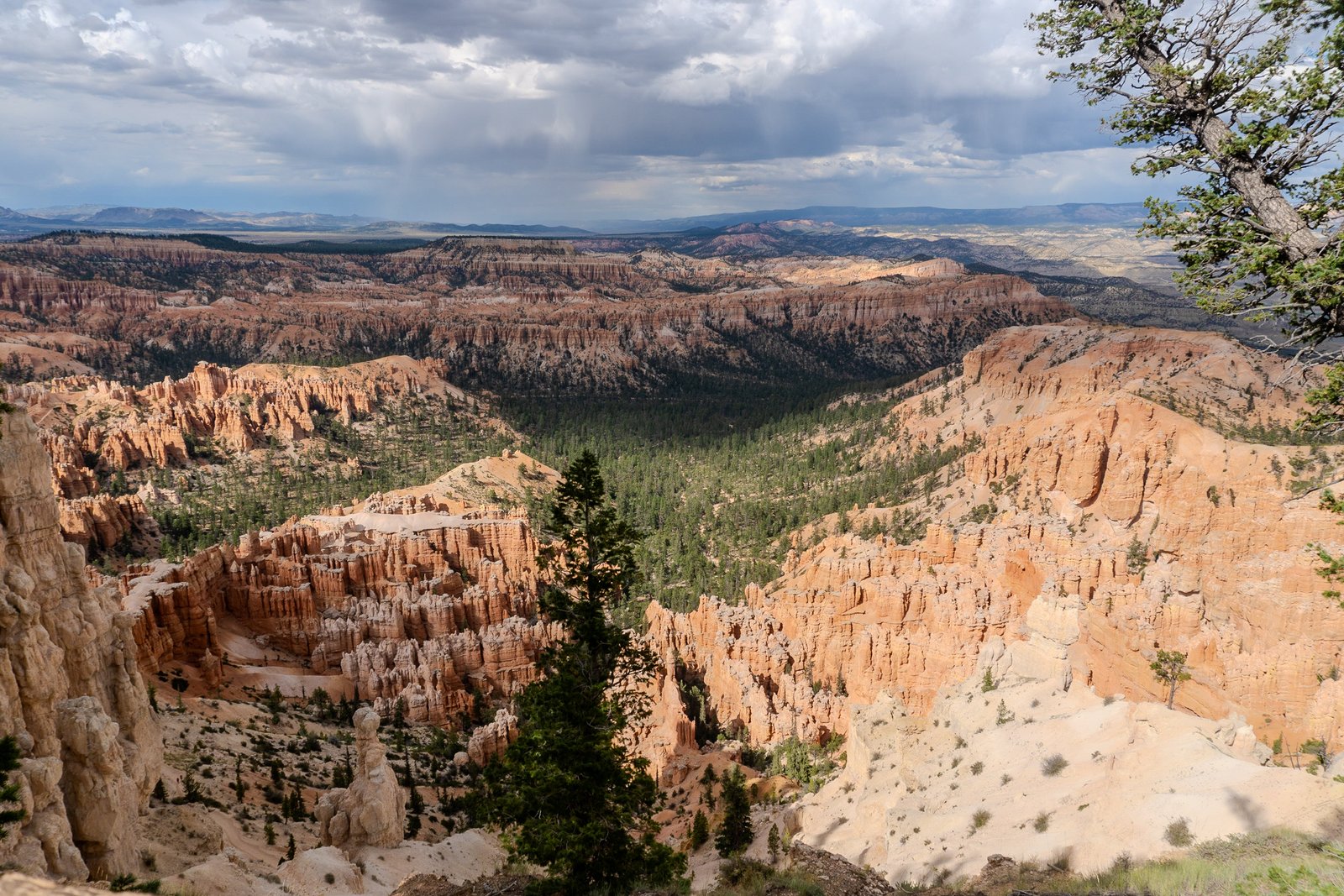 A photo from glenkphoto.com gallery