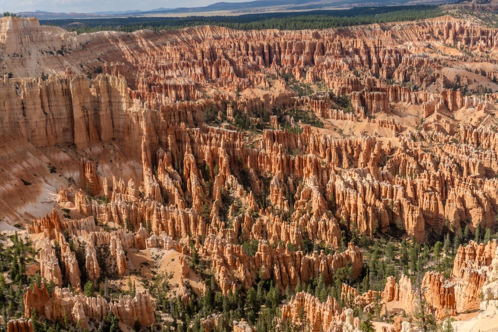 A photo from glenkphoto.com gallery