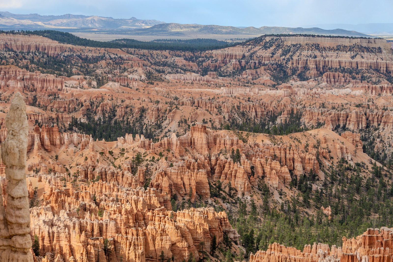 A photo from glenkphoto.com gallery