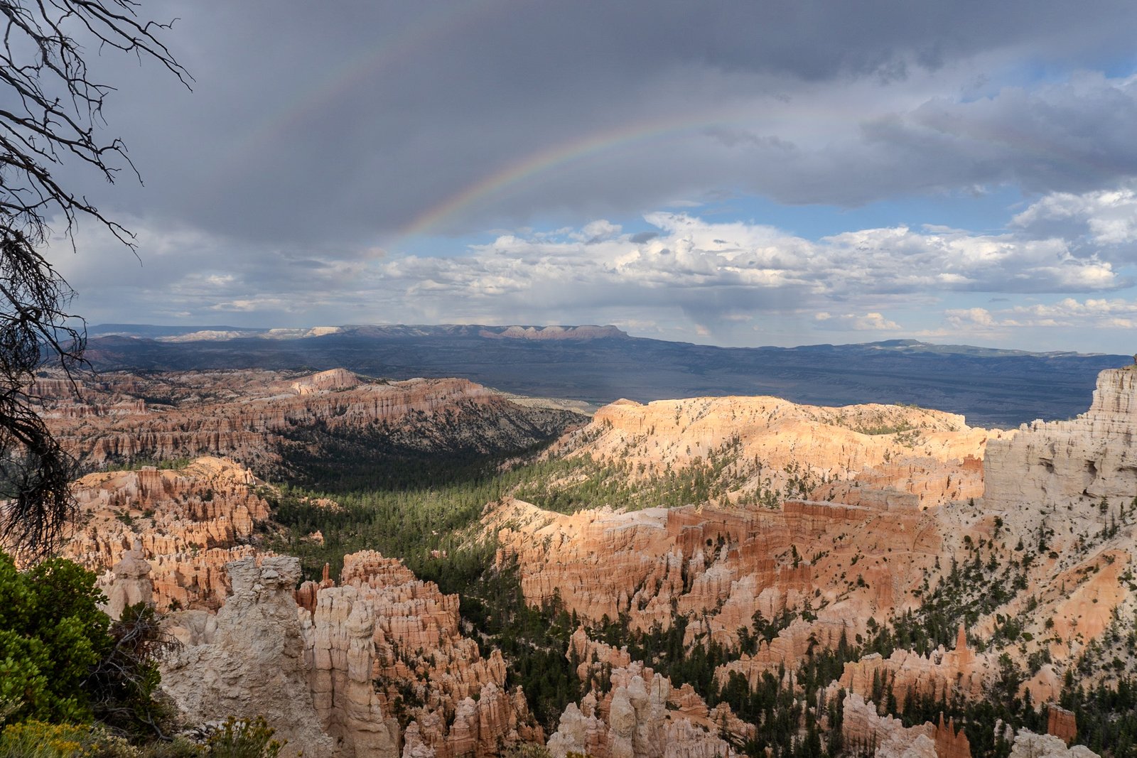 A photo from glenkphoto.com gallery