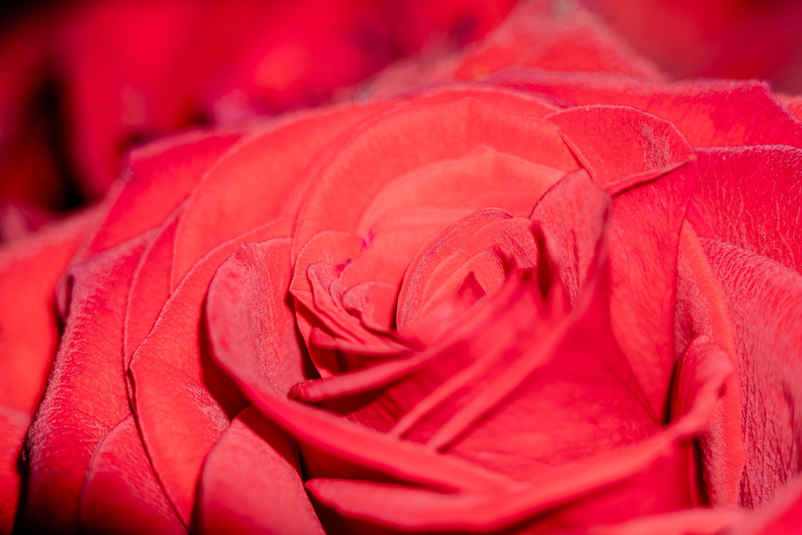 A photo from glenkphoto.com gallery