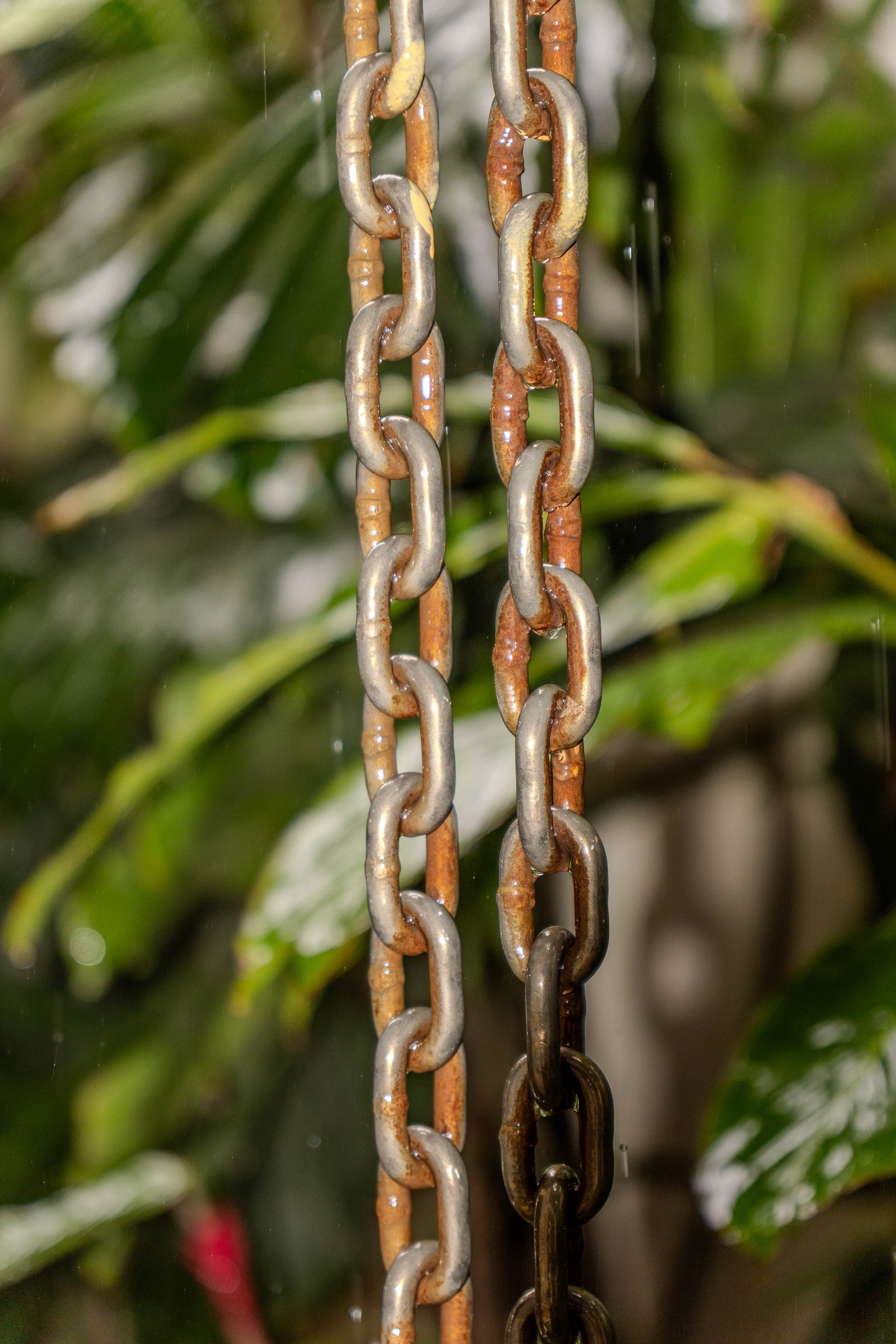 A photo from glenkphoto.com gallery