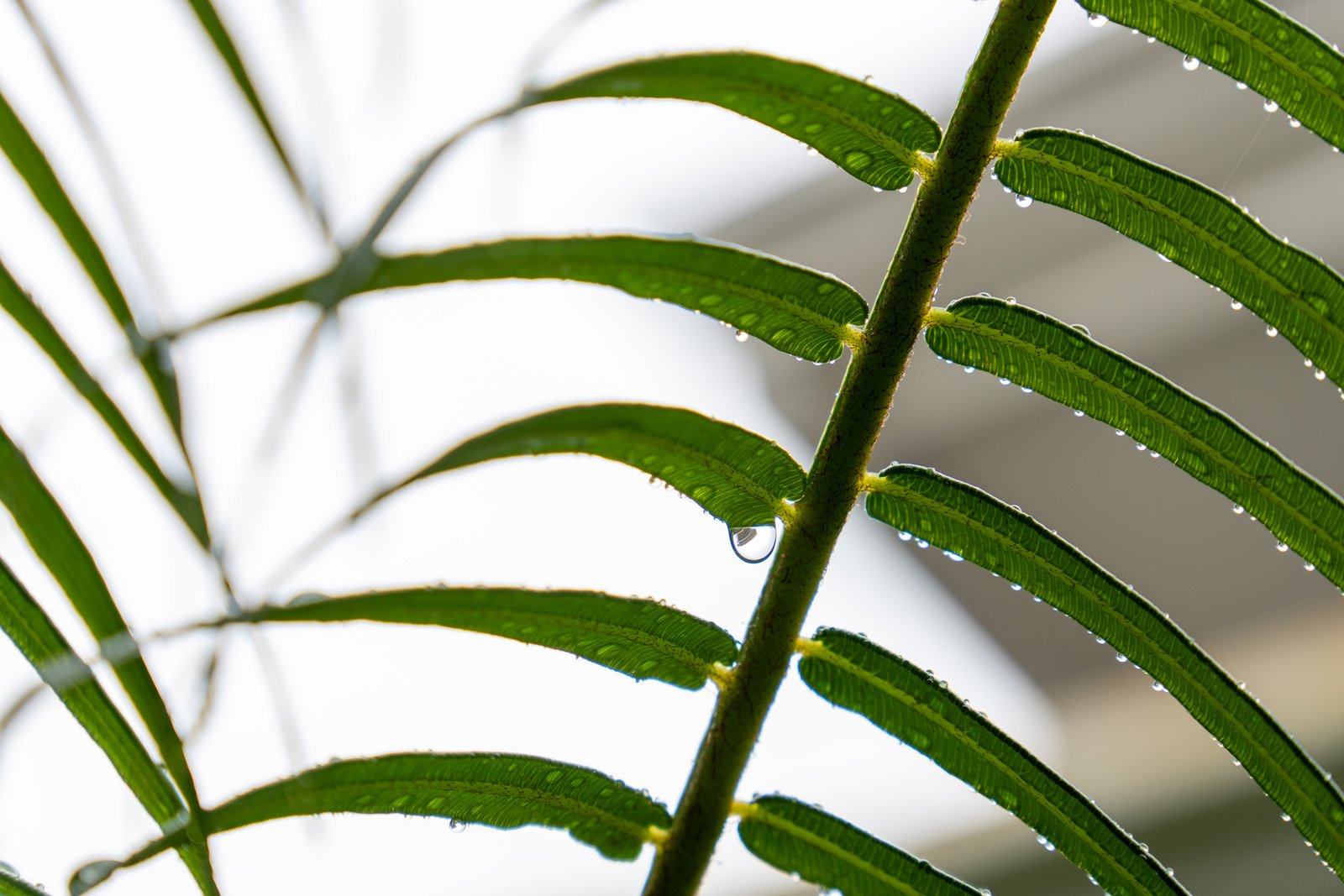 A photo from glenkphoto.com gallery