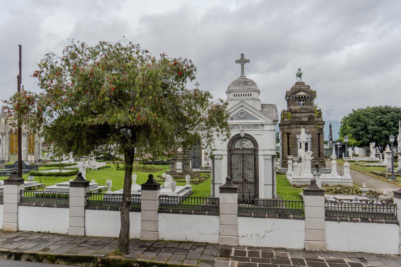 A photo from glenkphoto.com gallery